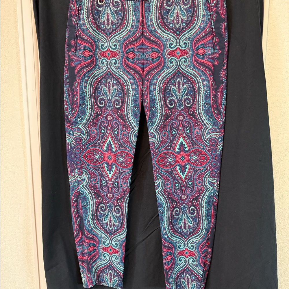 Adrianna Papell Blue and Pink Pants
